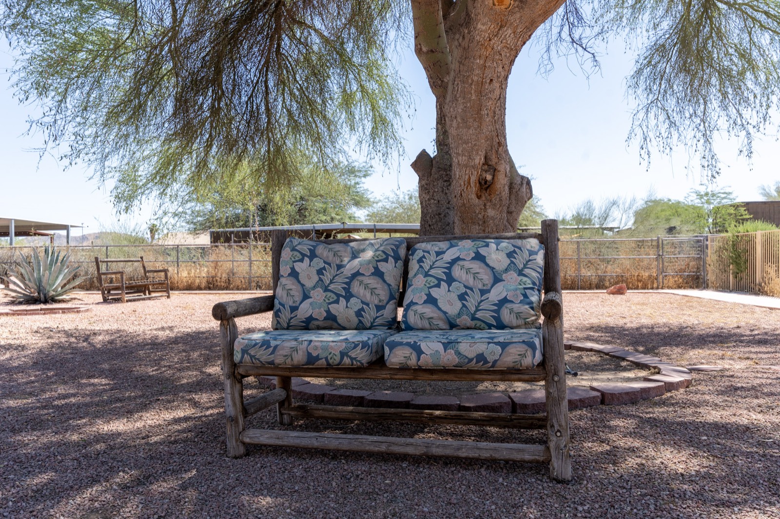 A shaded bench under a tree in the desert grounds of Grace Hill Ranch